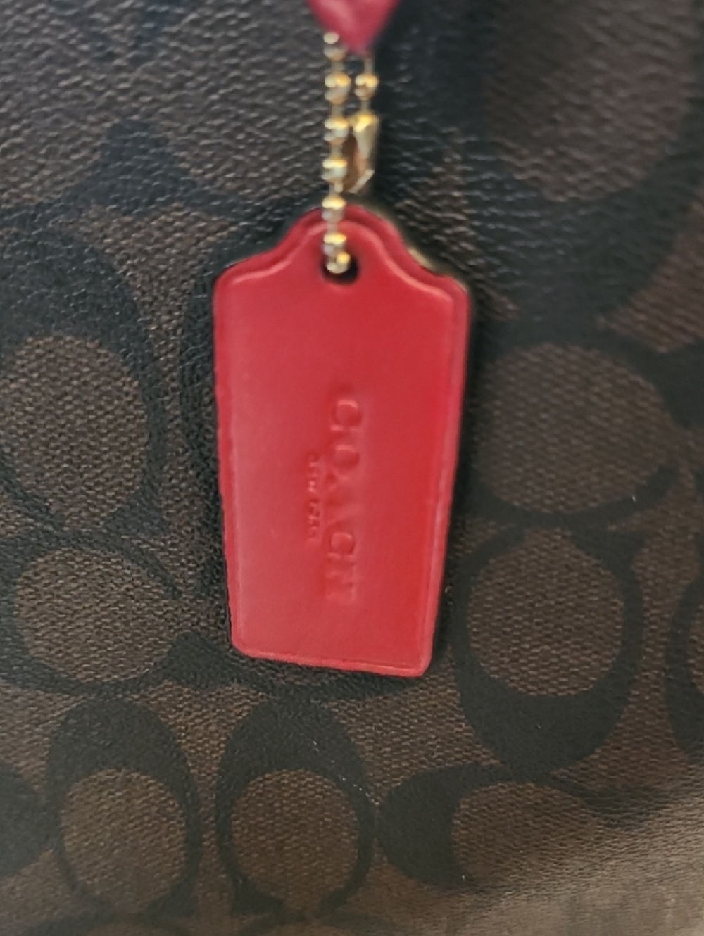 Coach Mollie Tote. PROJECT BAG. - Picture 4 of 15